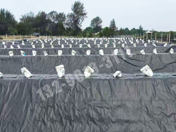 養殖土工膜施工