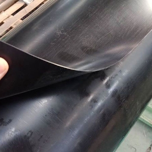 進(jìn)口土工膜