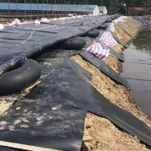 養殖塘防滲